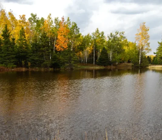 Para andar con sabiduría