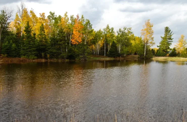 Para andar con sabiduría