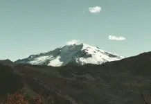 Ve y cuenta de Jesús