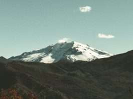 Ve y cuenta de Jesús