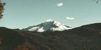 Ve y cuenta de Jesús