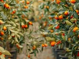 Generosidad que reanima