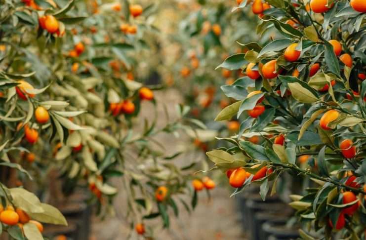 Generosidad que reanima