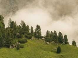 Poder innegable de Dios