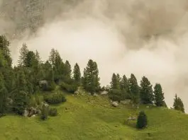 Poder innegable de Dios