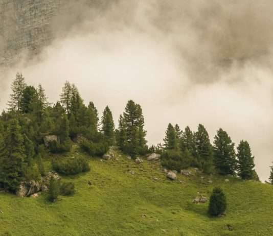 Poder innegable de Dios