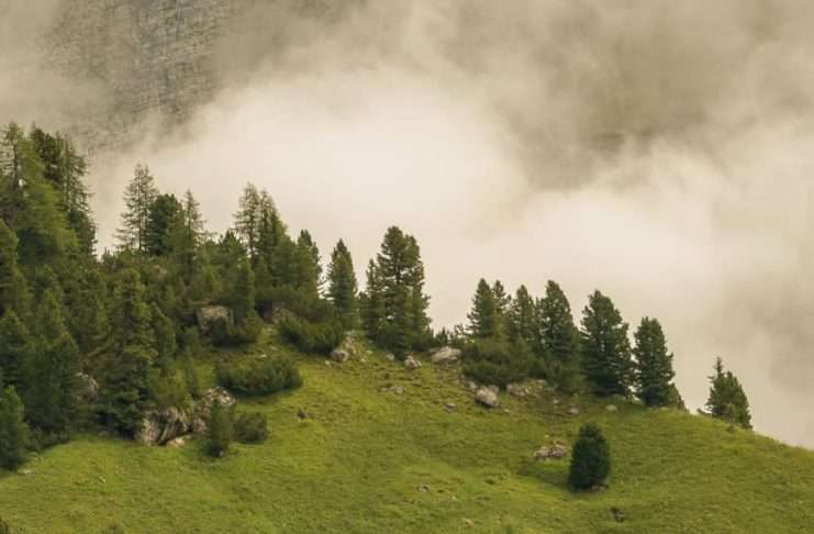 Poder innegable de Dios