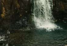 Las mujeres anónimas