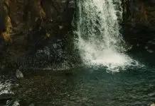 Las mujeres anónimas