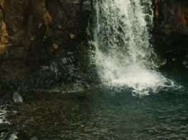 Las mujeres anónimas