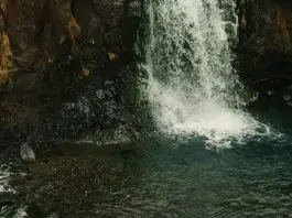 Las mujeres anónimas