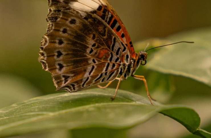 Fortaleza de la lucha