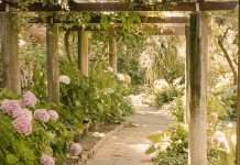 Actos amorosos de Dios