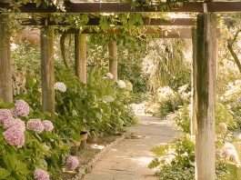 Actos amorosos de Dios