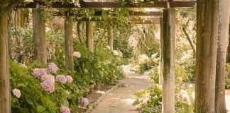 Actos amorosos de Dios