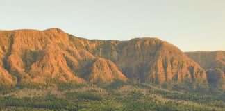 Vidas ofrecidas a Dios