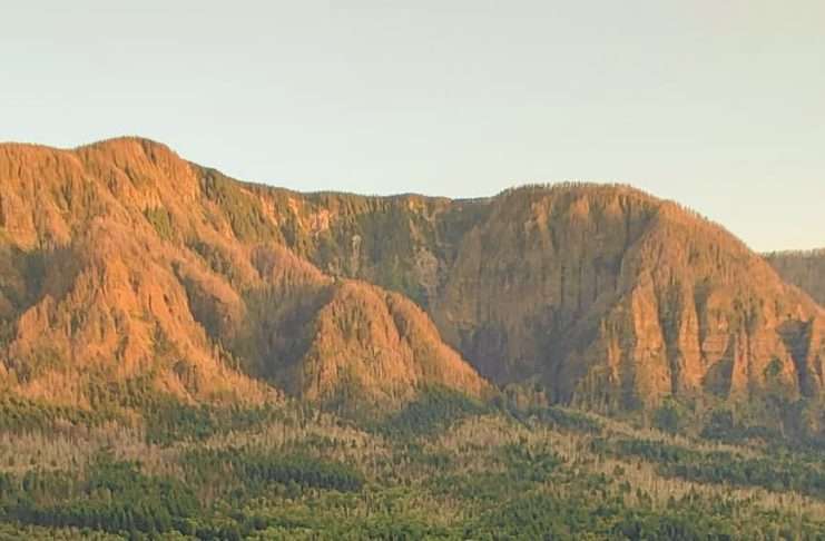 Vidas ofrecidas a Dios