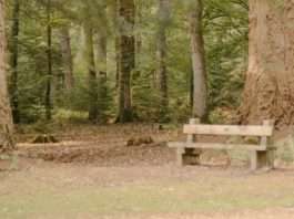 Hecho para la comunidad