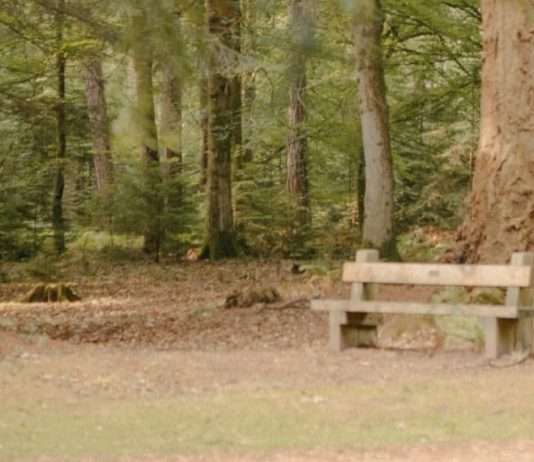 Hecho para la comunidad