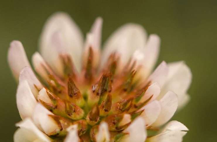 Una ofrenda para Jesús