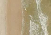 Administradores fieles