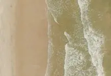 Administradores fieles