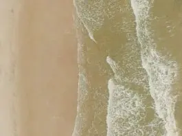 Administradores fieles