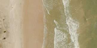 Administradores fieles