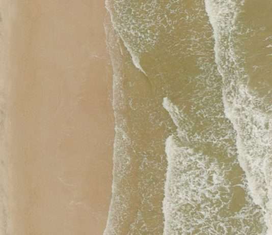 Administradores fieles