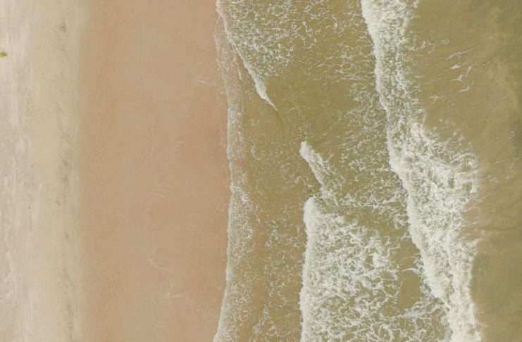 Administradores fieles