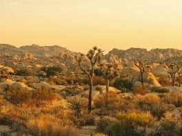 Recordatorio de la presencia de Dios