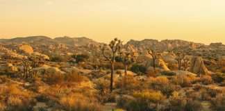 Recordatorio de la presencia de Dios