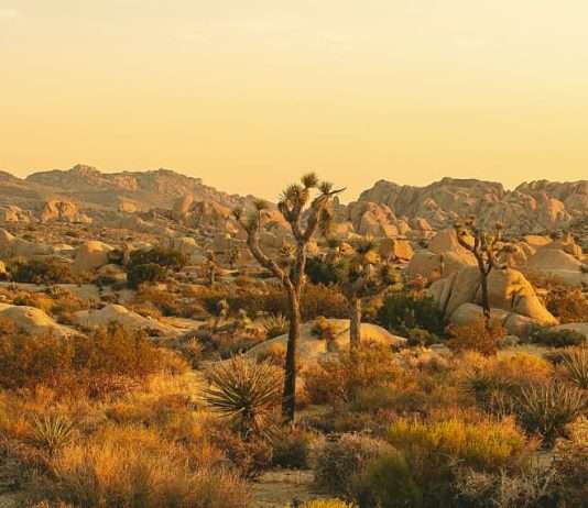 Recordatorio de la presencia de Dios