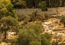 Lágrimas y esperanza