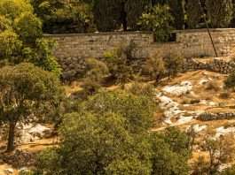 Lágrimas y esperanza