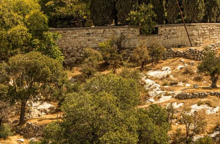 Lágrimas y esperanza