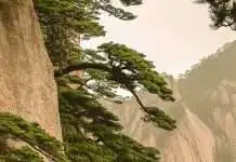 La perspectiva de Dios