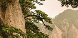 La perspectiva de Dios