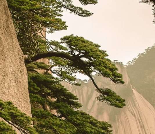 La perspectiva de Dios