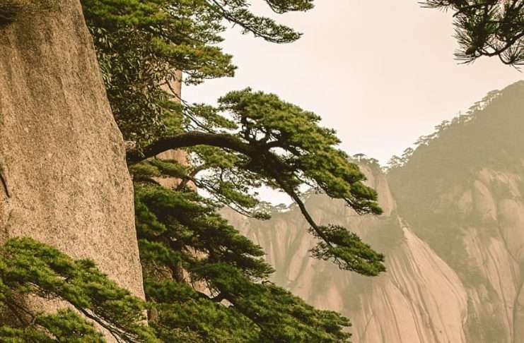 La perspectiva de Dios