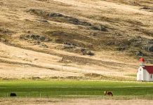 El valor de la Palabra de Dios
