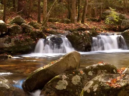 Dios es soberano sobre las demoras