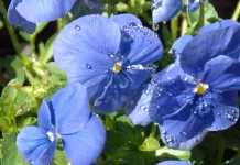 La presencia fortalecedora de Dios