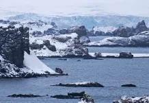 La purificación de nuestra fe