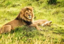 Cómo superar la culpa