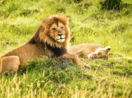 Cómo superar la culpa