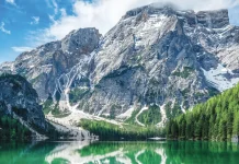 Llamados al servicio