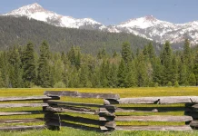 Cómo cultivar una conciencia pura