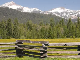 Cómo cultivar una conciencia pura