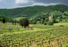 Bendecidos para bendecir a otros